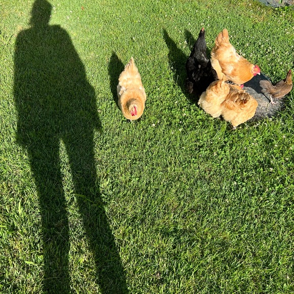 Meet your Posher, R.R.Lee! - Picture 5 of 6